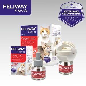 FELIWAY Friends 30 Day Refill (Value 3 pack), helps to reduce conflict in multi-cat households, helping cats get along better – 48ml x3